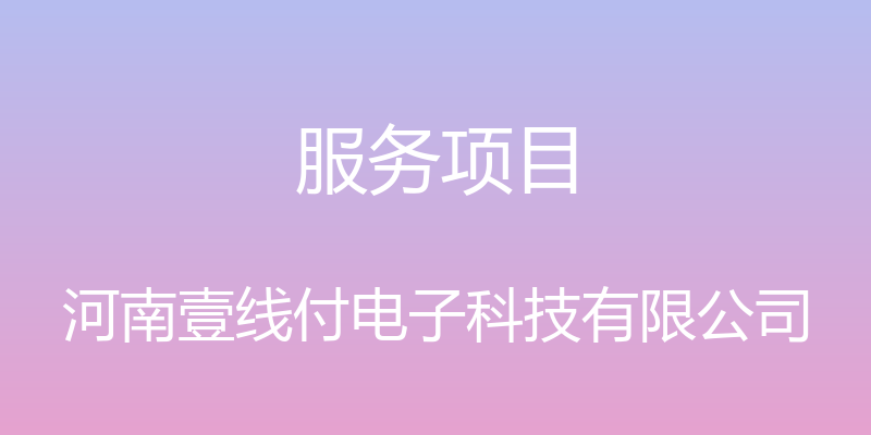 服务项目 - 河南壹线付电子科技有限公司