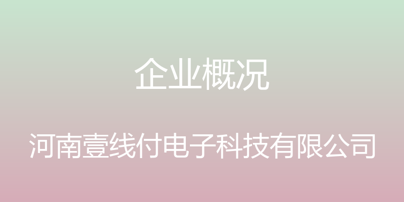 企业概况 - 河南壹线付电子科技有限公司